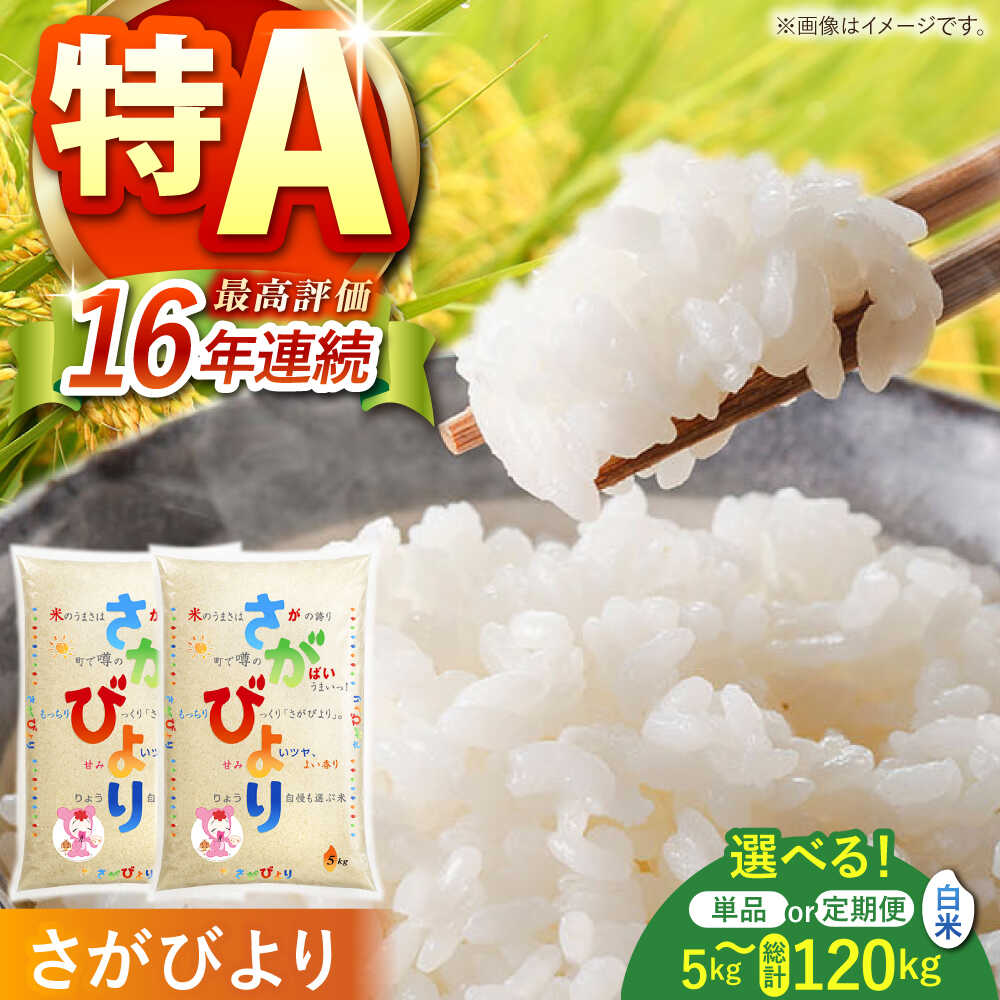 【ふるさと納税】 白米 令和7年産 さがびより 5kg / 10kg（5kg×2袋）【株式会社 JA食糧さが】 [HCM001] / お米 ごはん 白米 精米 ブランド米 お取り寄せ 国産 佐賀県 江北町 九州 米 お米 おいしい ランキング 人気 国産 佐賀県産 単品 定期便