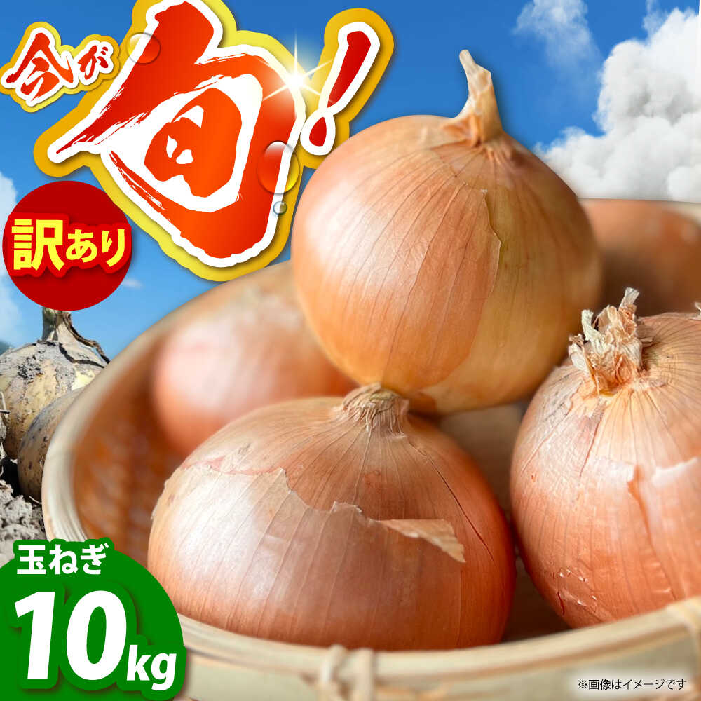 【ふるさと納税】【今が旬!】 訳あり 玉ねぎ 10kg 　【えぐちファーム】 不揃い たまねぎ[HDE004]｜佐賀県江北町