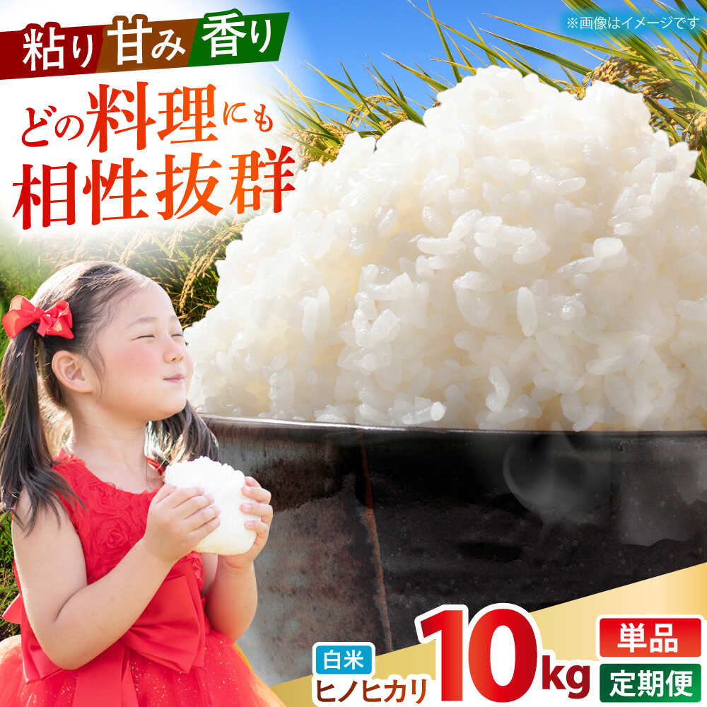 【ふるさと納税】令和7年産 ヒノヒカリ 白米 10kg 【有限会社江北商会】[HDK001] 精米 米 おこめ コメ 白米 はくまい お米 精米 白ご飯 ひのひかり 国産 佐賀県 江北町 送料無料 10キロ｜佐賀県江北町