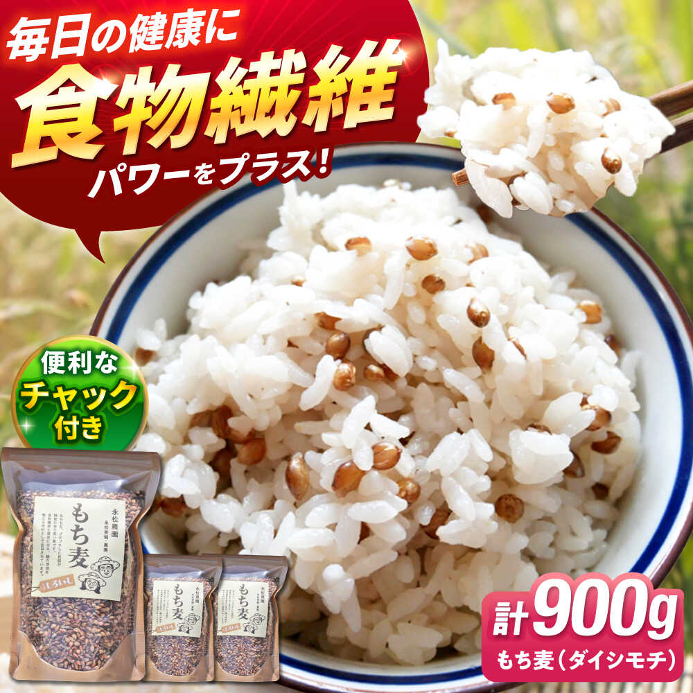【ふるさと納税】【令和6年度産】白石産 もち麦900g (300g×3袋セット) モチ麦 もちむぎ 小分け 健康 雑穀米 雑穀 お米【地域振興団体道の駅しろいしカンパニー】 [IAA003]