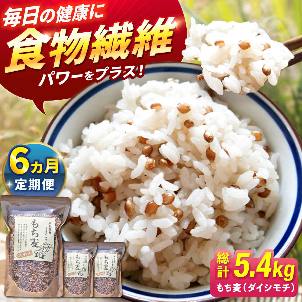【ふるさと納税】【令和6年度産】【全6回定期便】白石産 もち麦 900g（300g×3袋）/回（総計5.4kg）【道の駅しろいしカンパニー】モチ麦 もちむぎ 小分け 健康 雑穀米 雑穀 お米 [IAA035]