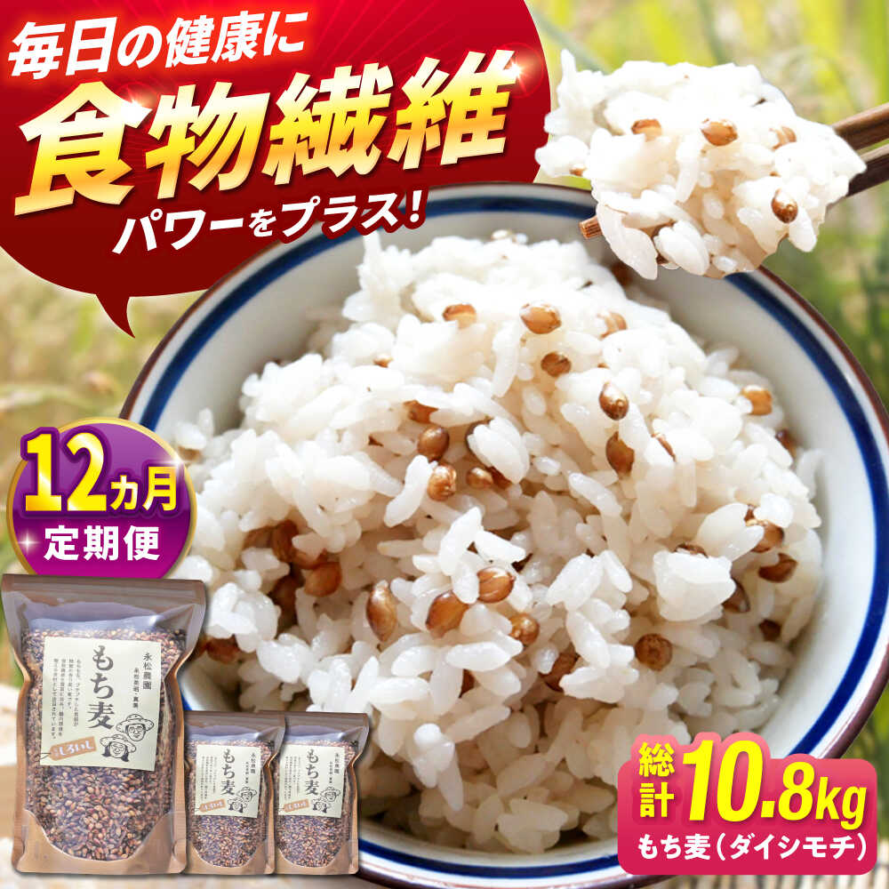【ふるさと納税】【令和6年度産】【全12回定期便】白石産 もち麦 900g（300g×3袋）/回（総計10.8kg）【道の駅しろいしカンパニー】モチ麦 もちむぎ 小分け 健康 雑穀米 雑穀 お米 [IAA036]