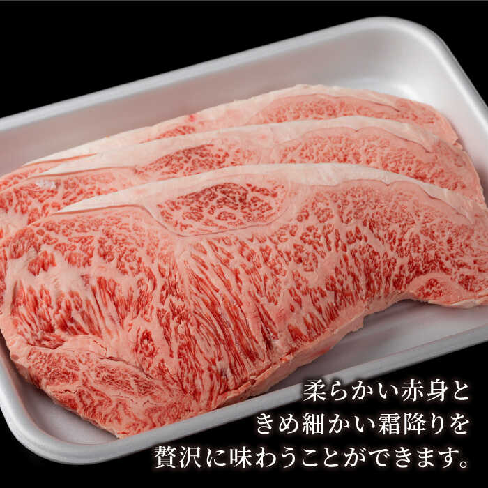 でおすすめアイテム ふるさと納税 霜降り Bbq 冷凍 贅沢ロースステーキ 佐賀牛 250g 4枚 計1000g A4 A5ランク お肉 焼肉 牛肉 肉 Iag053 食品 最高級ブランド佐賀牛で 極上のひとときを 牛肉 冷凍 株式会社いろは精肉店 Iag053 が大特価
