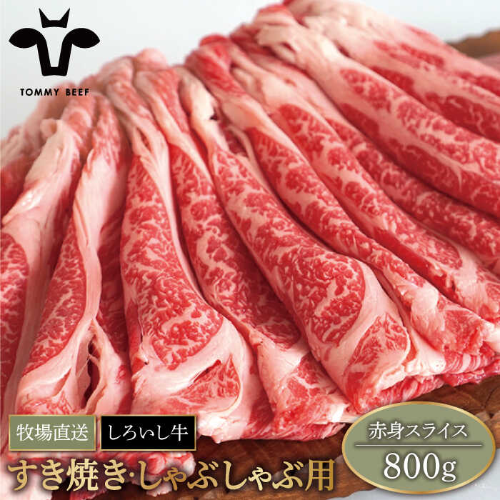 格安 ふるさと納税 牧場直送 牛肉100％ふんわりロールステーキ 100g×8個 有限会社佐賀セントラル牧場 IAH018 佐賀県白石町  materialworldblog.com