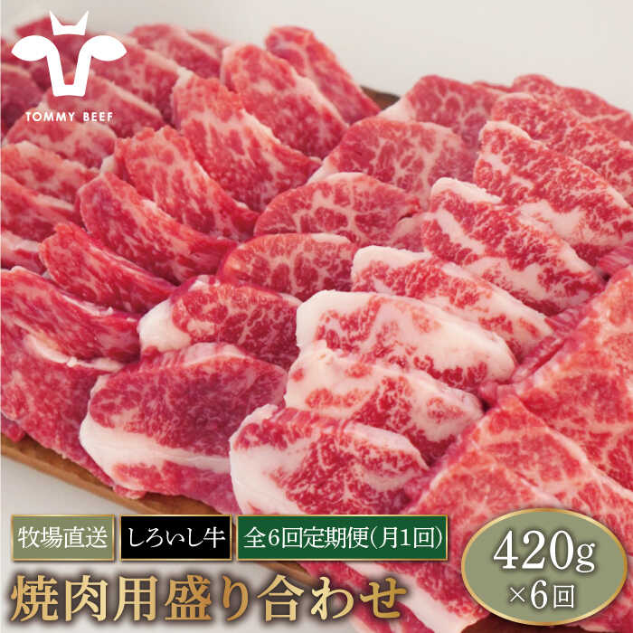 佐賀県産しろいし牛 焼肉用盛り合わせセット 希少部位 4g 6回 モモ カタ 肩 バラ 肉 お肉 牛肉 焼き肉 q 冷凍 Iah024 セール 価格