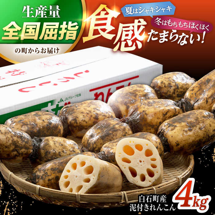 値引き いちごに想いをのせて 恋みのり 220g×2パック イチゴ 苺 直送 新鮮 果物 フルーツ 佐賀県産 白石町産 産地直送 IBH001  fucoa.cl