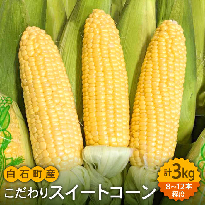 【ふるさと納税】【数量限定】農家直送！こだわり スイートコーン 約3kg（10～12本）【玉葱農家 陣内ちひろ】 とうもろこし 新鮮 未来 ドルチェドリーム 野菜 期間限定 [IAO014]