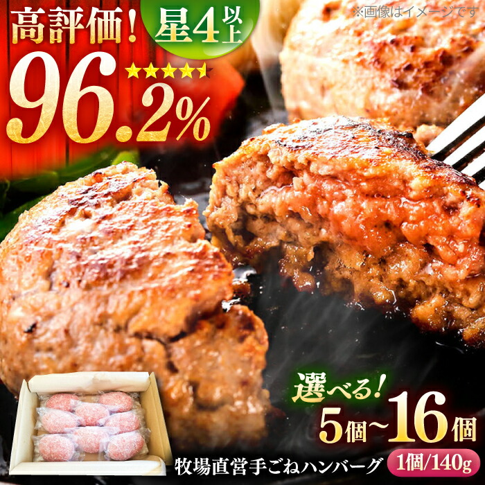 【ふるさと納税】【選べる容量】牧場直営店の手作りハンバーグ （5個、8個、16個）【川崎畜産】お肉 肉  冷凍 加工品 おかず 惣菜 ハンバーグ 無添加 20個 100%[IAX001]