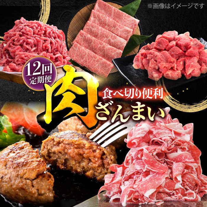 【ふるさと納税】【12回定期便】肉ざんまい定期便 一人暮らし 少量 / 牛肉 黒毛和牛 個梱包ハンバーグ【川崎畜産】[IAX051]