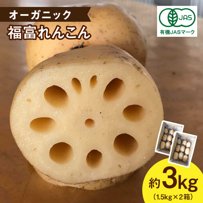 楽天市場】【ふるさと納税】【R8年1月以降発送】【選べる 泥付き