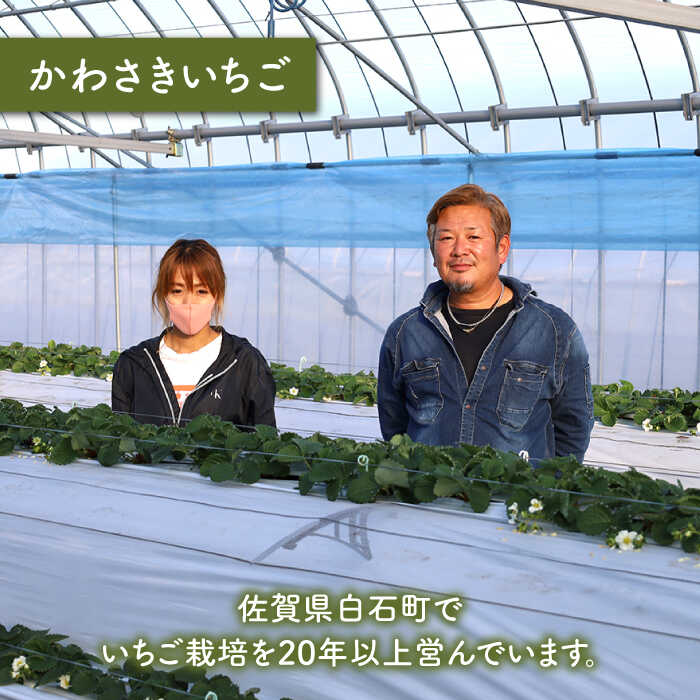 ふるさと納税 全3回定期便 詰め合わせ定期便 パールホワイト いちごさん 食べ比べ 各品種2g 1パック