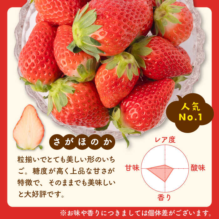 ☆決算特価商品☆ 食べ比べ 恋みのり さがほのか 各220g 詰め合わせ セットイチゴ 苺 直送 新鮮 果物 フルーツ 佐賀県産 白石町産 産地直送  IBH007 fucoa.cl