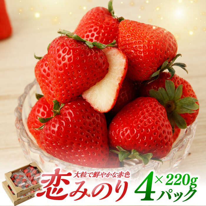 イチゴちゃん専用 ibh010.jpg