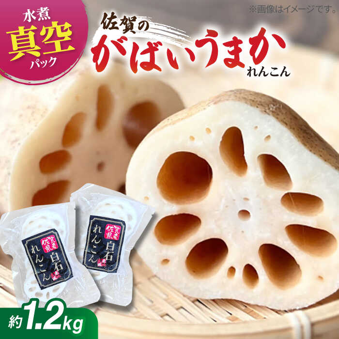 【ふるさと納税】【お手軽調理！】白石町産 水煮れんこん 120g×10袋（カット有り/真空パック）【有限会社白石開発】 蓮根 レンコン 佐賀県産 白石町産 野菜 根菜 小分け 真空 保存 [IBN004]