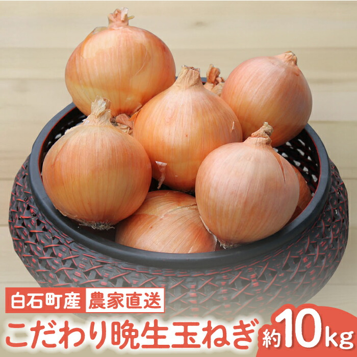 【ふるさと納税】【農家直送！】こだわり 晩生玉ねぎ 約10kg【一ノ瀬農園】2026年産 玉葱 たまねぎ タマネギ オニオン 野菜 香味野菜 佐賀県 白石町 白石 しろめし町 [IBQ009]｜佐賀県白石町
