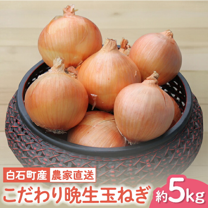 楽天市場】【ふるさと納税】 【農家直送！】 玉葱農家のこだわり