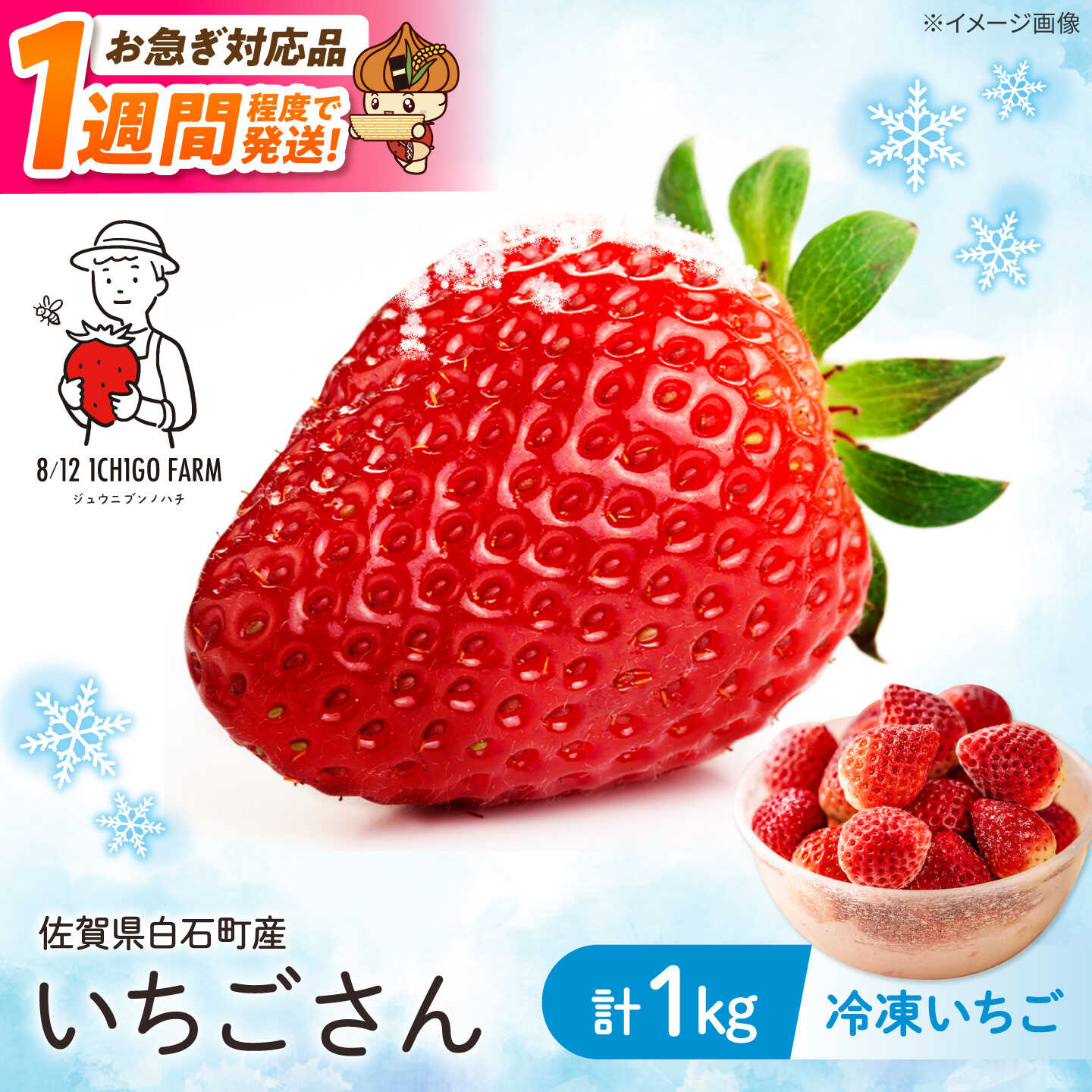 【ふるさと納税】【2026年1月以降発送】冷凍いちご（いちごさん）1kg【8/12ICHIGOFARM】 佐賀県 白石 [IBR004]