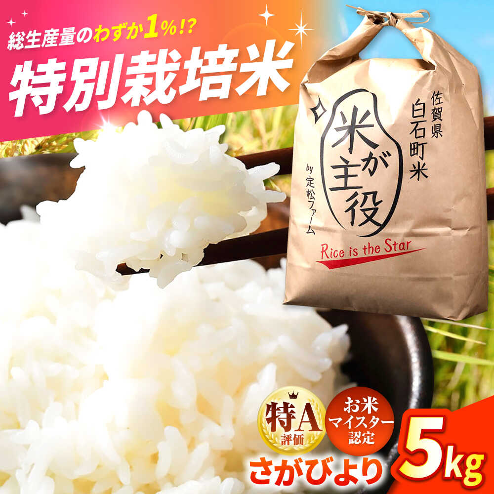 【ふるさと納税】【先行予約】【令和7年度産】こだわりの特別栽培！ さがびより 5kg 【有限会社定松ファーム】米 特A米 特A評価 佐賀 佐賀県産 5kgこめ お米 白米 県産米 定期便 定期大人気 令和7年産 [IBV001]