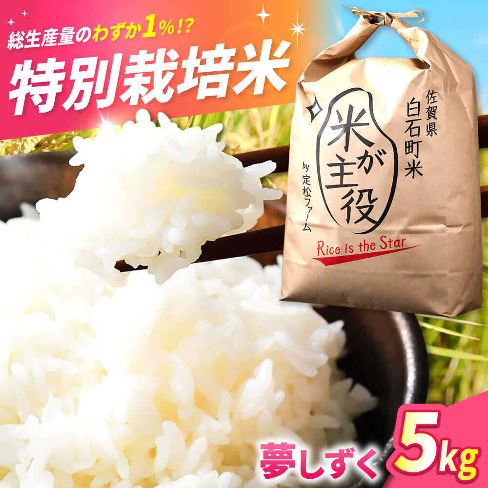 無洗米　さがびより　5kg　佐賀県産　追加購入ok　コメ　精米　主食　お米 楽天市場】さがびより 無洗米 5kgの通販