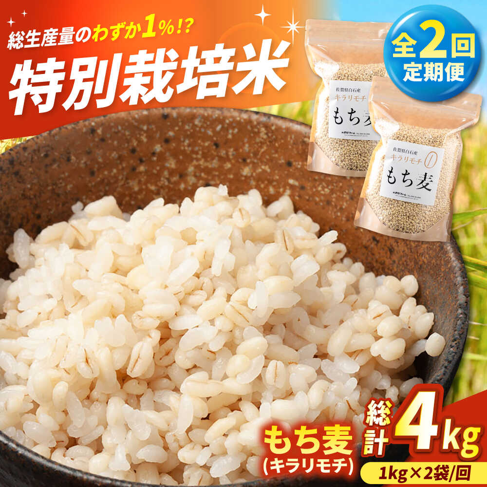 【ふるさと納税】【令和7年度産】【全2回定期便】もち麦（キラリモチ）計4kg（2kg×2回） 【有限会社定松ファーム】もち麦 麦 もちむぎ キラリモチ ご飯 ごはん 米 5kg ふるさと納税 佐賀県 白石町 定期便 [IBV008]