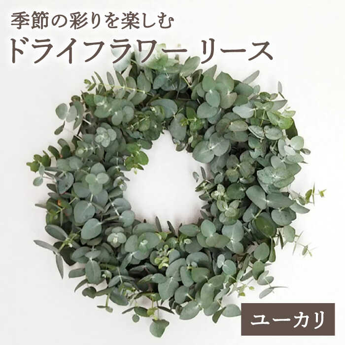 日本一に返り咲いた！佐賀の海苔特集 インチ白石町