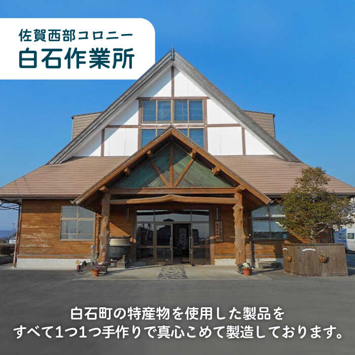 特価ブランド ちゅうちゅうアイス チューブ入り 詰め合わせセット 食べ比べ アイスクリーム チューブ スイーツ Icl004 Fucoa Cl
