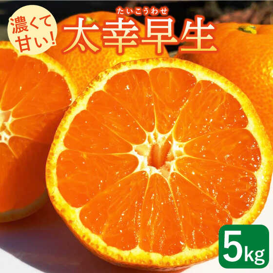 【ふるさと納税】【先行予約】【数量限定！】さっぱりとした甘さの こだわり みかん 太幸早生（たいこうわせ） 約5kg【ひがじま農園】ミカン 柑橘 果物 フルーツ 白石町産 [ICW002]