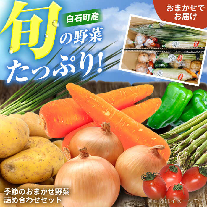 【ふるさと納税】【野菜たっぷり♪】白石町産季節のおまかせ野菜詰め合わせセット【株式会社いち】[IDD002]