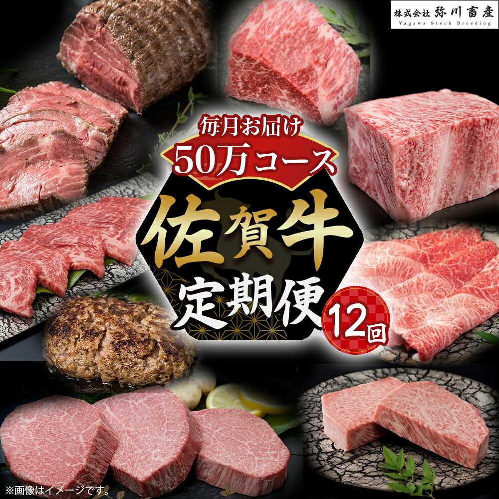 【ふるさと納税】Z2 佐賀牛 毎月お届け便 50万コース 定期便 12回 12ヶ月 すき焼き ロースステーキ ローストビーフ カルビ焼肉 ハンバーグ 赤身焼肉 ヒレステーキ ロースブロック モモブロック しゃぶしゃぶ 高級 人気 おすすめ 佐賀県 太良町|佐賀県太良町