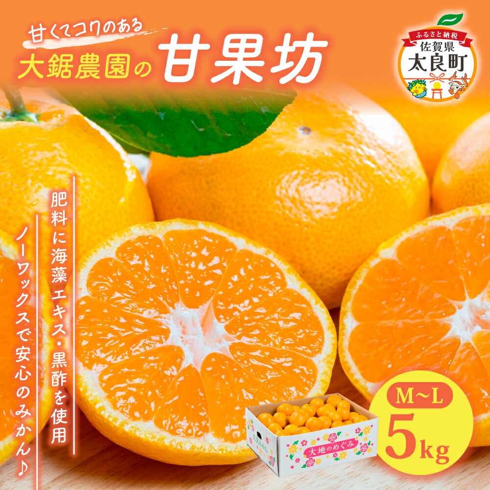 ミカン 楽天市場】【ふるさと納税】みかん 大鋸農園 甘果坊（小玉）5kg