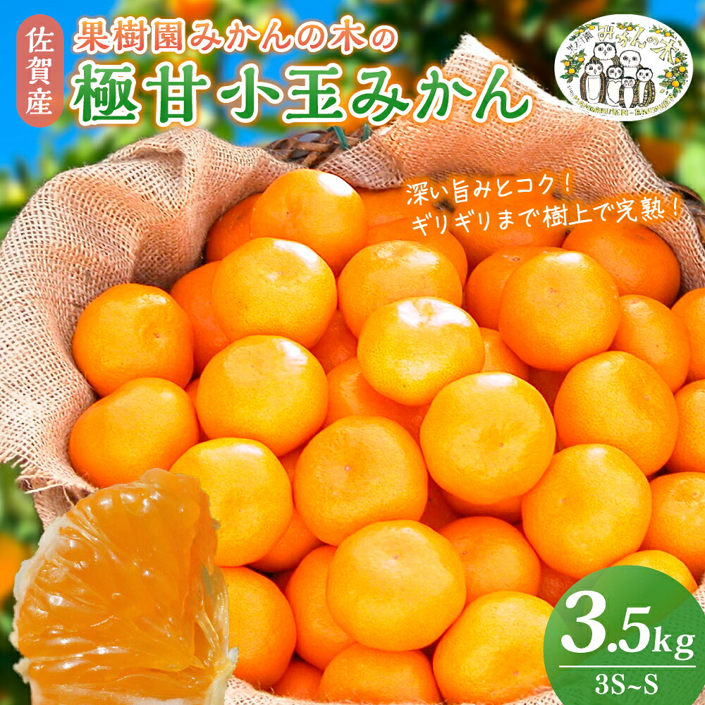 【ふるさと納税】 L48x1 果樹園みかんの木の極甘小玉みかん 3.5kg みかん ミカン 蜜柑 温州みかん 完熟みかん 甘熟 柑橘 有機栽培 国産 佐賀県産 太良町 こだわり 贈答品 産地直送 詰め合わせ 小玉【2026年11月上旬-2027年1月下旬発送予定】｜佐賀県太良町