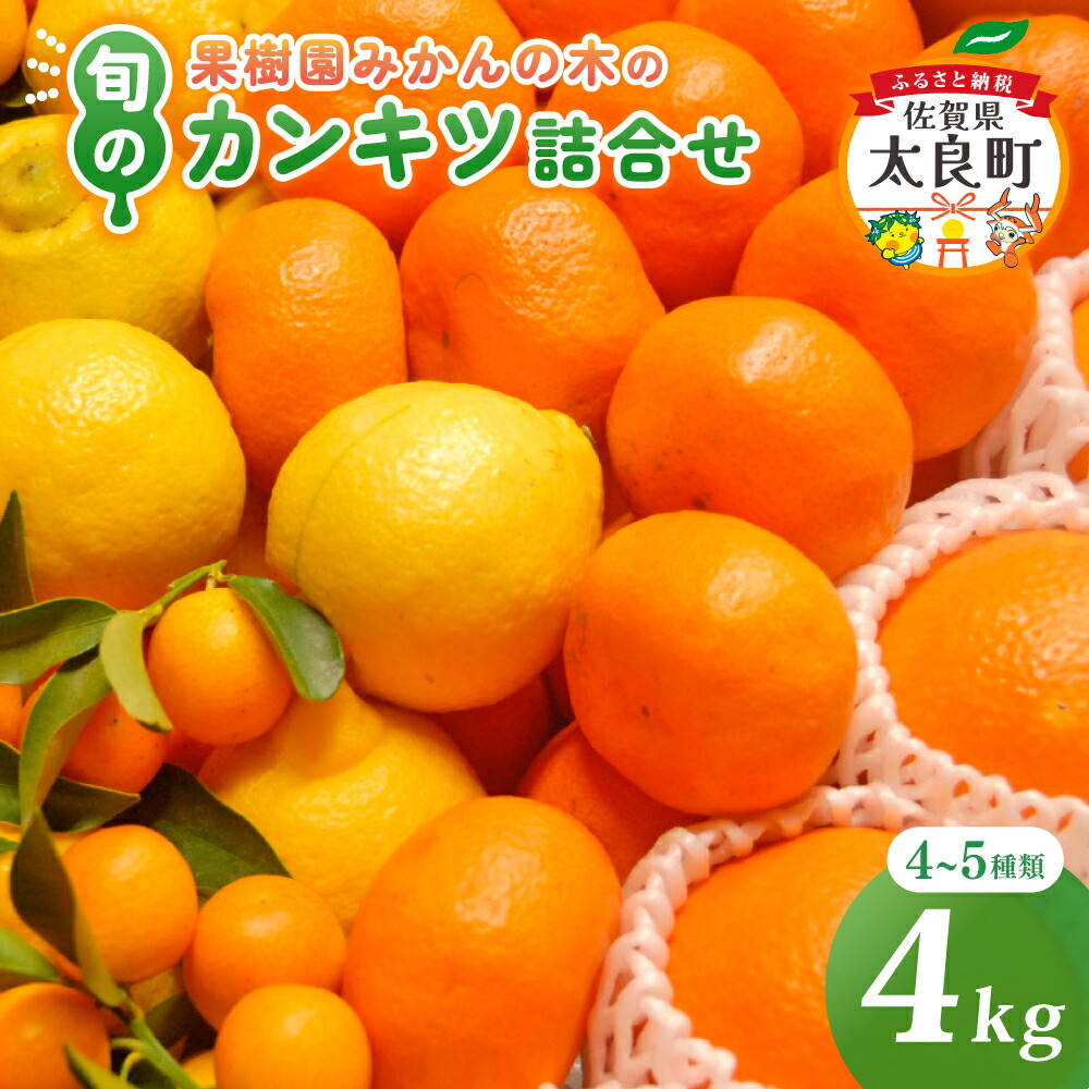 ミカン 楽天市場】【ふるさと納税】みかん 大鋸農園 甘果坊（小玉）5kg