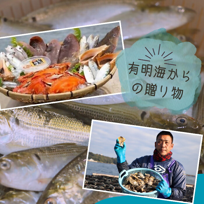 【ふるさと納税】N-161 有明海からの贈り物