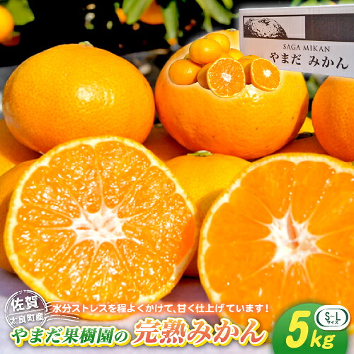 【ふるさと納税】L32x1 やまだ果樹園の完熟みかん　５kg 【2026年11月上旬-2027年1月上旬発送予定】｜佐賀県太良町