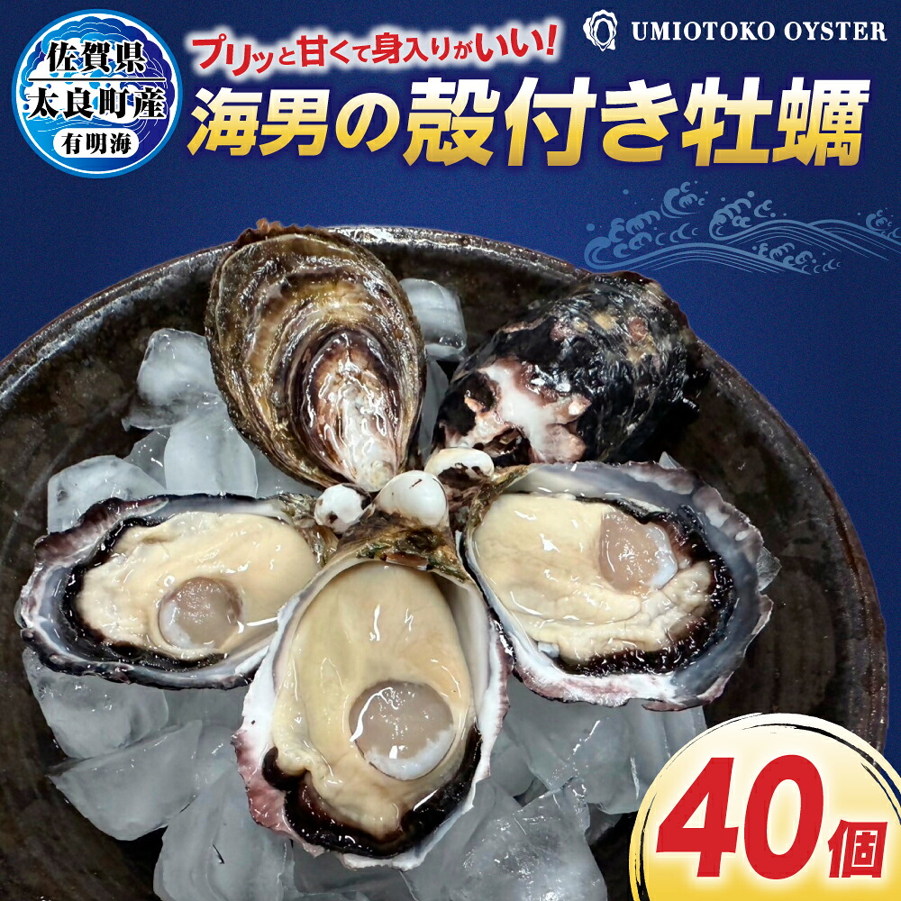 【ふるさと納税】海男の殻付き牡蠣 40個 牡蠣 かき カキ 魚介 魚介類 海鮮 海の幸 海のミルク 貝 かい 貝類 佐賀県 太良町｜佐賀県太良町カキ