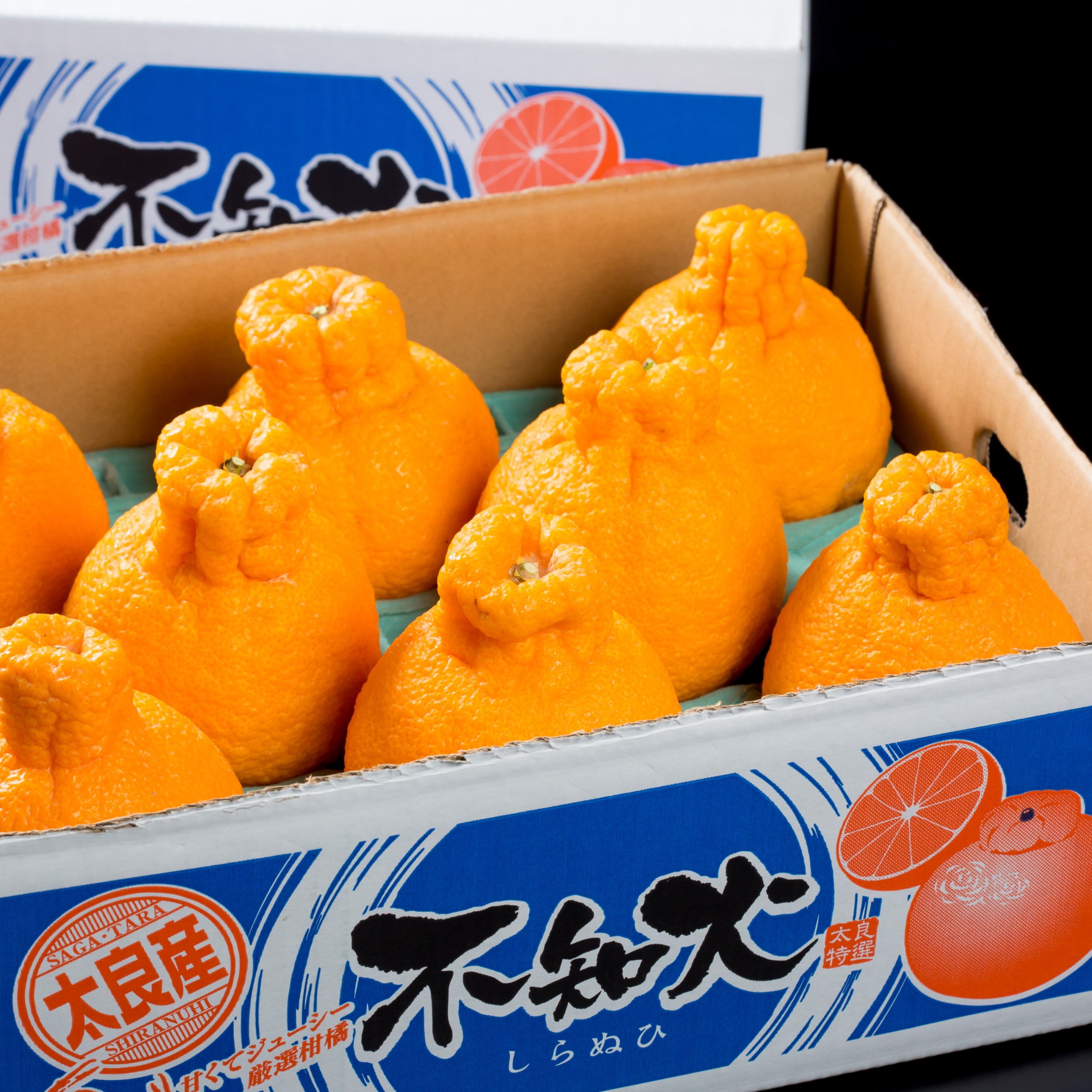 【ふるさと納税】多良岳の恵みで育てたタラデコ （不知火）3kg 【2027年3月上旬-5月下旬発送予定】 M70x2｜佐賀県太良町