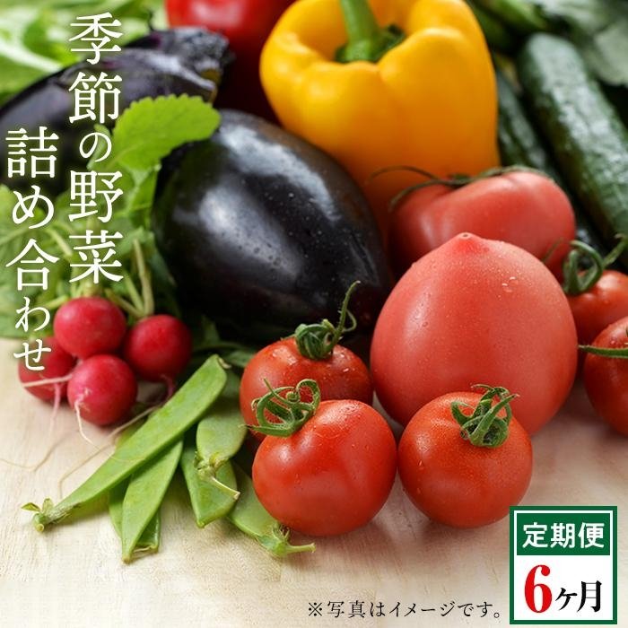 【ふるさと納税】【6回定期便】長崎県産　季節の野菜BOX【産直松吉】 | 長崎 長崎県 野菜 詰め合わせ 詰合せ 九州 定期便 おまかせ フルーツ 果物 新鮮 送料無料 お楽しみ｜長崎県