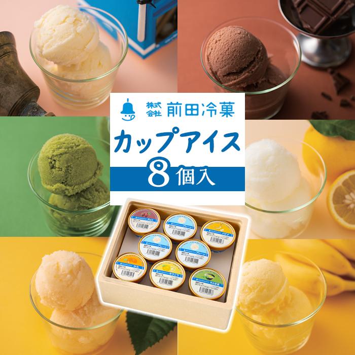 【ふるさと納税】前田冷菓　カップアイス８個入 | アイス アイスクリーム デザート スイーツ セット 長崎 長崎県 九州 送料無料 ご当地 ご当地アイス 長崎名物 お取り寄せ 取り寄せ