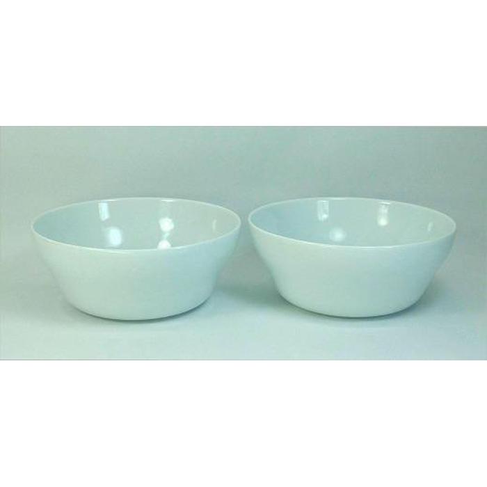 【ふるさと納税】【波佐見焼】φ20ｃｍ　ボウル2個組 トルソーL 【西海陶器】2 ４３５８９ | 食器 テーブルウェア 日用品 人気 おすすめ 送料無料