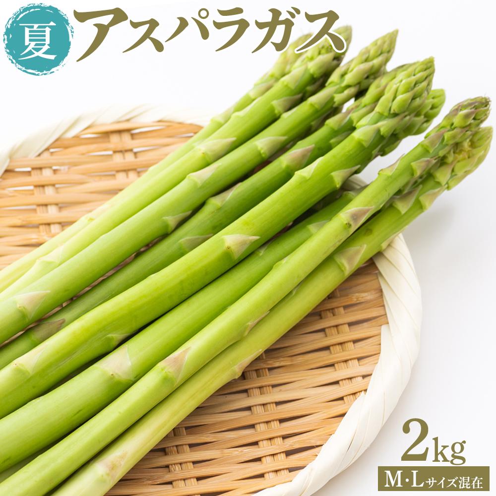 ふるさと納税 夏アスパラガス 2kg M・Lサイズ混在 2025年6月より順次