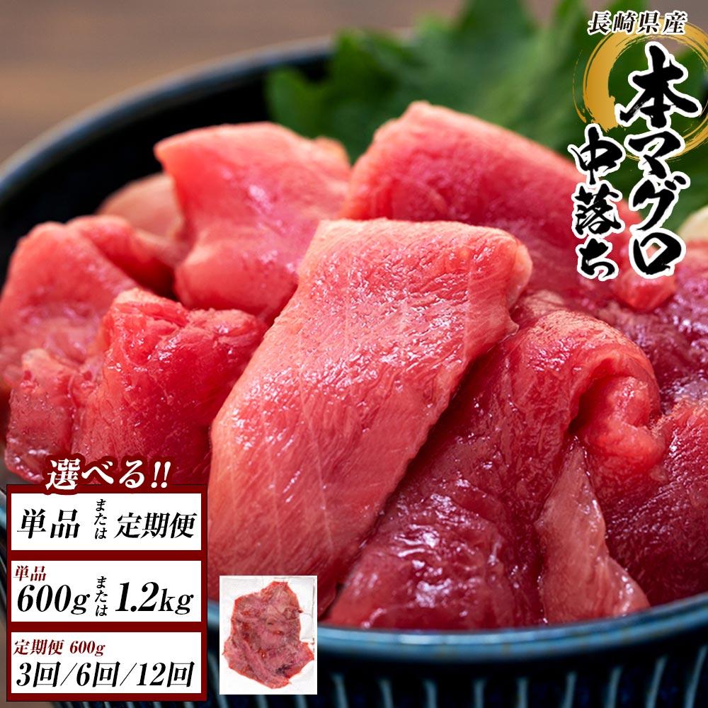 【ふるさと納税】定期便も選べる！ 長崎県産　本マグロ中落ち（約600ｇ） | マグロ 鮪 中落 小分け 刺身 養殖 海鮮丼 手巻き寿司 魚介類 海鮮 高級 お取り寄せ グルメ ギフト おつまみ 長崎 まぐろ 送料無料 九州