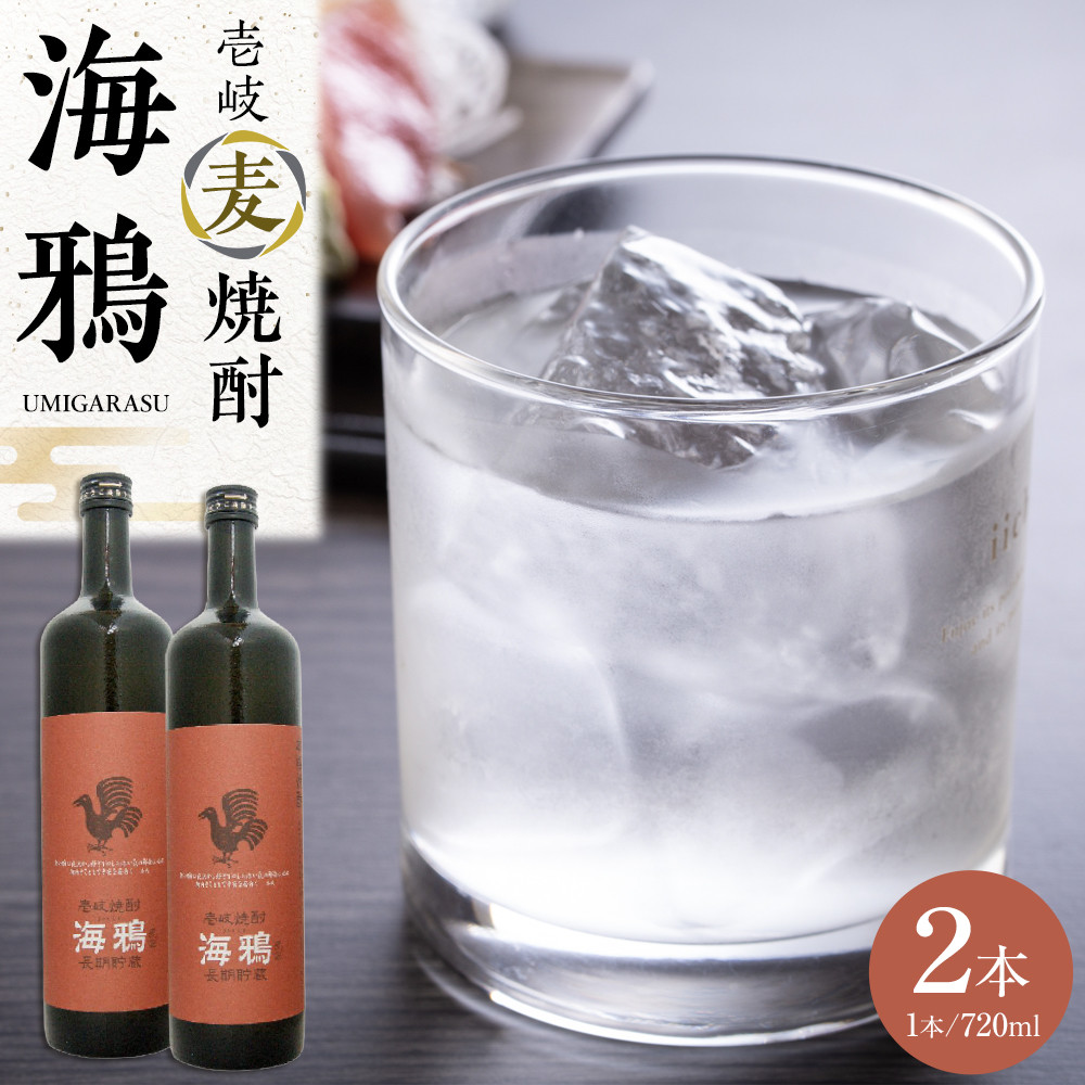 【ふるさと納税】壱岐麦焼酎 海鴉720ml箱入 2本セット | お酒 さけ 人気 おすすめ 送料無料 ギフト|長崎県