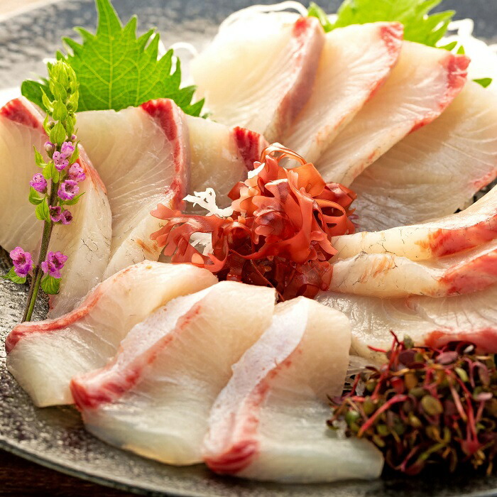 ふるさと納税 長崎自慢の養殖ヒラマサ Kg フィレ 切り身 刺身 三枚おろし 直送 詰め合わせ セット ギフト お取り寄せ グルメ 長崎県 長崎 楽天限定 Aplusfinance Blog Com