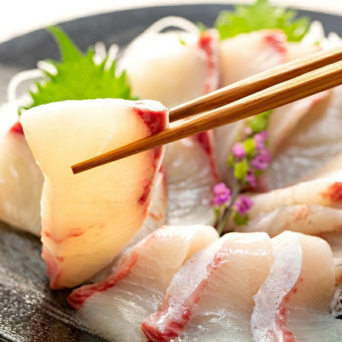 ふるさと納税 長崎自慢の養殖ヒラマサ Kg フィレ 切り身 刺身 三枚おろし 直送 詰め合わせ セット ギフト お取り寄せ グルメ 長崎県 長崎 楽天限定 Aplusfinance Blog Com