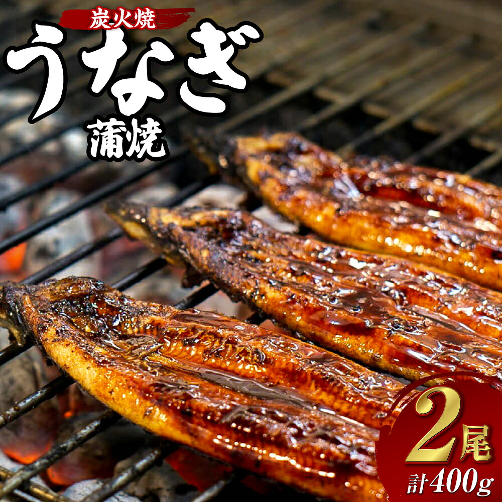 【ふるさと納税】炭火焼うなぎの蒲焼 200g×2尾 計400g うなぎ 鰻 蒲焼 魚介 タレ付 惣菜 簡単 国産 真空パック 冷蔵 長崎市 15,750円