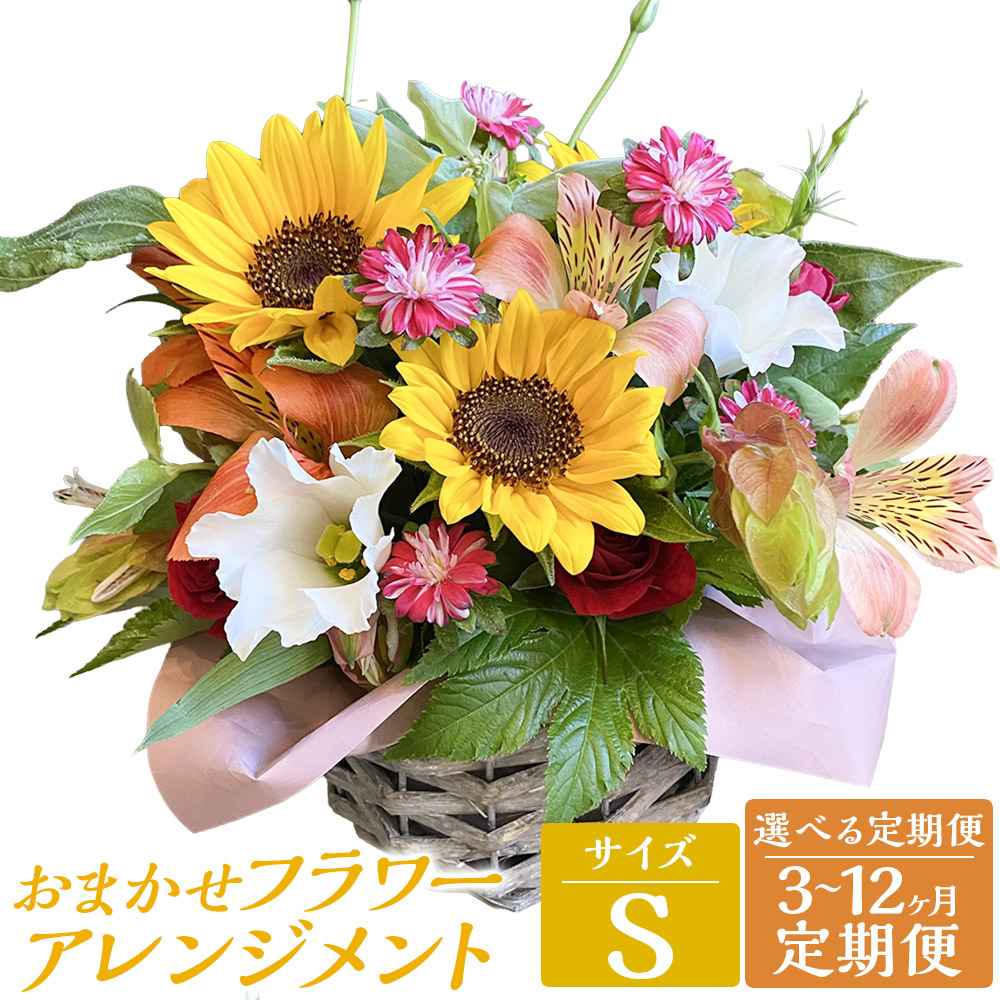 【ふるさと納税】【選べる定期便】 おまかせ御花申し合わせ 【S】 3ヶ月/6ヶ月/12ヶ月 定期便 造花 花 お花 今めかしい 御祭り 生まれ落ちる日 祝する日 有りがたさ 差し上げ物 差し上げ物 母の日 差し上げ物 長崎市
