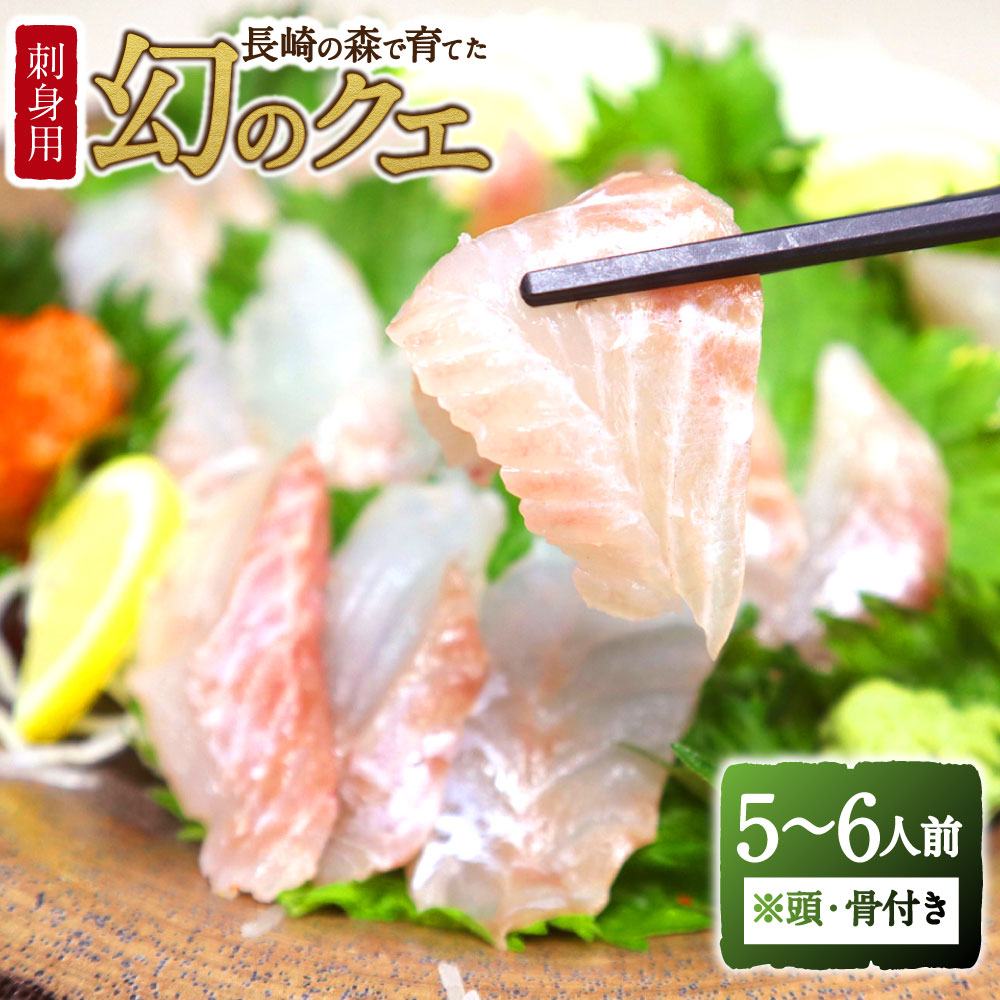【ふるさと納税】長崎の森で育てた『幻のクエ』 刺身用 5～6人前 1kg～2kg前後 頭・骨付き くえ 高級魚 海鮮 海産物 魚介類 冷蔵 長崎県 長崎市 送料無料