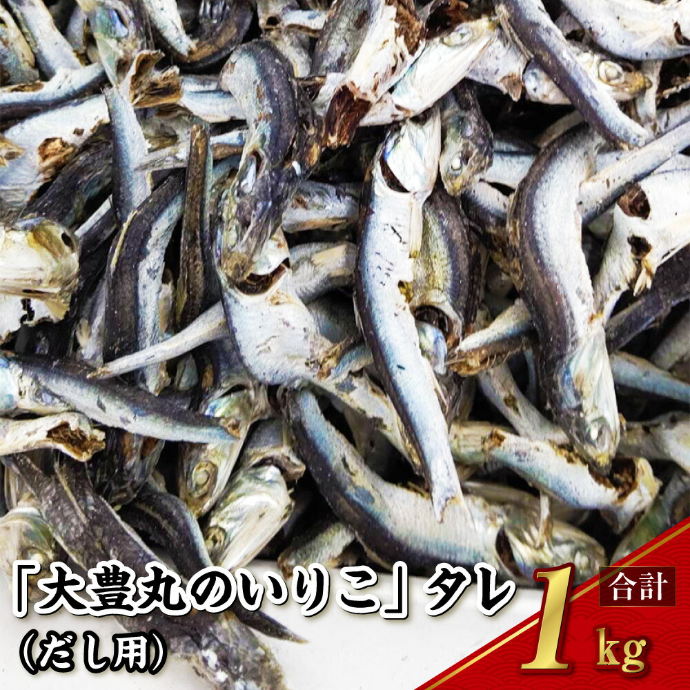 【ふるさと納税】「大豊丸のいりこ」タレ（だし用） 1kg 煮干し 出汁 魚介類 水産物 国産 長崎県 長崎市 送料無料