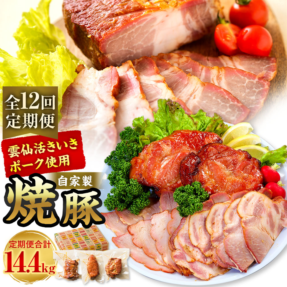 【ふるさと納税】【全12回定期便】自家製焼豚 計1.2kg(400g×3個) セット チャーシュー 豚肉 お肉 タレ 醤油 生姜 ニンニク 惣菜 冷蔵 長崎県産 国産 九州 長崎県 長崎市 送料無料|長崎県長崎市