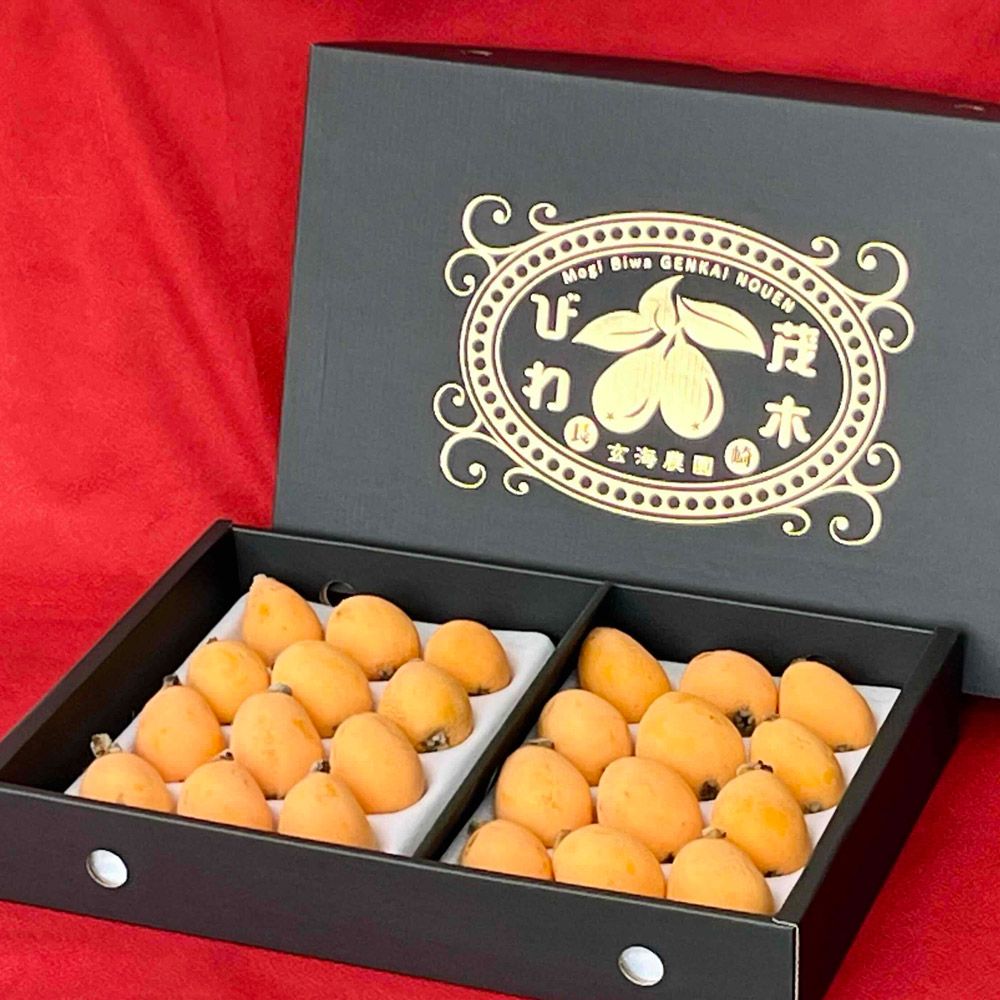 【ふるさと納税】長崎 茂木びわ 茂木 Lサイズ 24個×1箱 びわ 果物 フルーツ 枇杷 ギフト 贈り物 長崎市産 長崎県産 九州産 送料無料